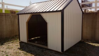 10 X 12 Horse Shed